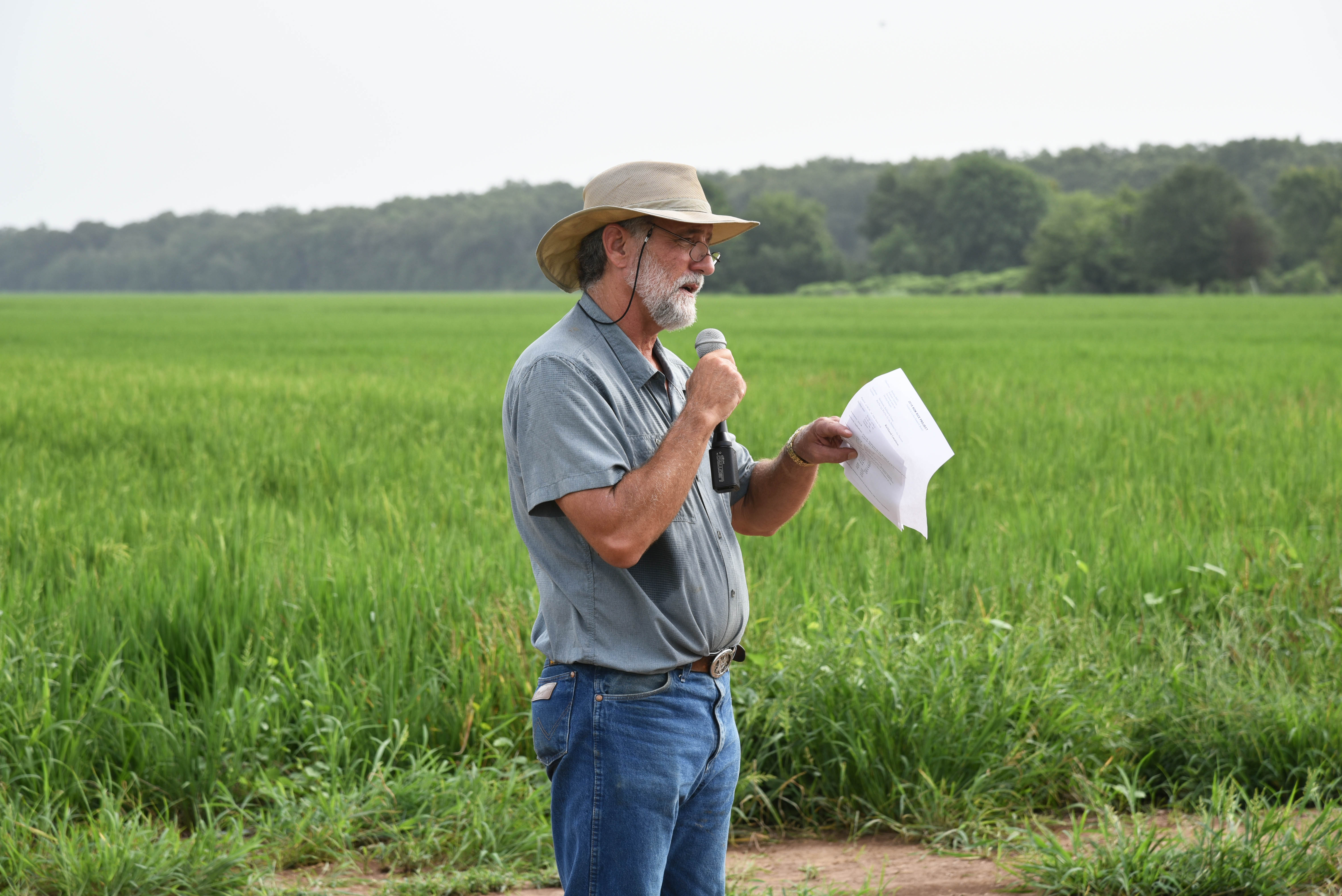Furrow irrigation featured at rice field day 